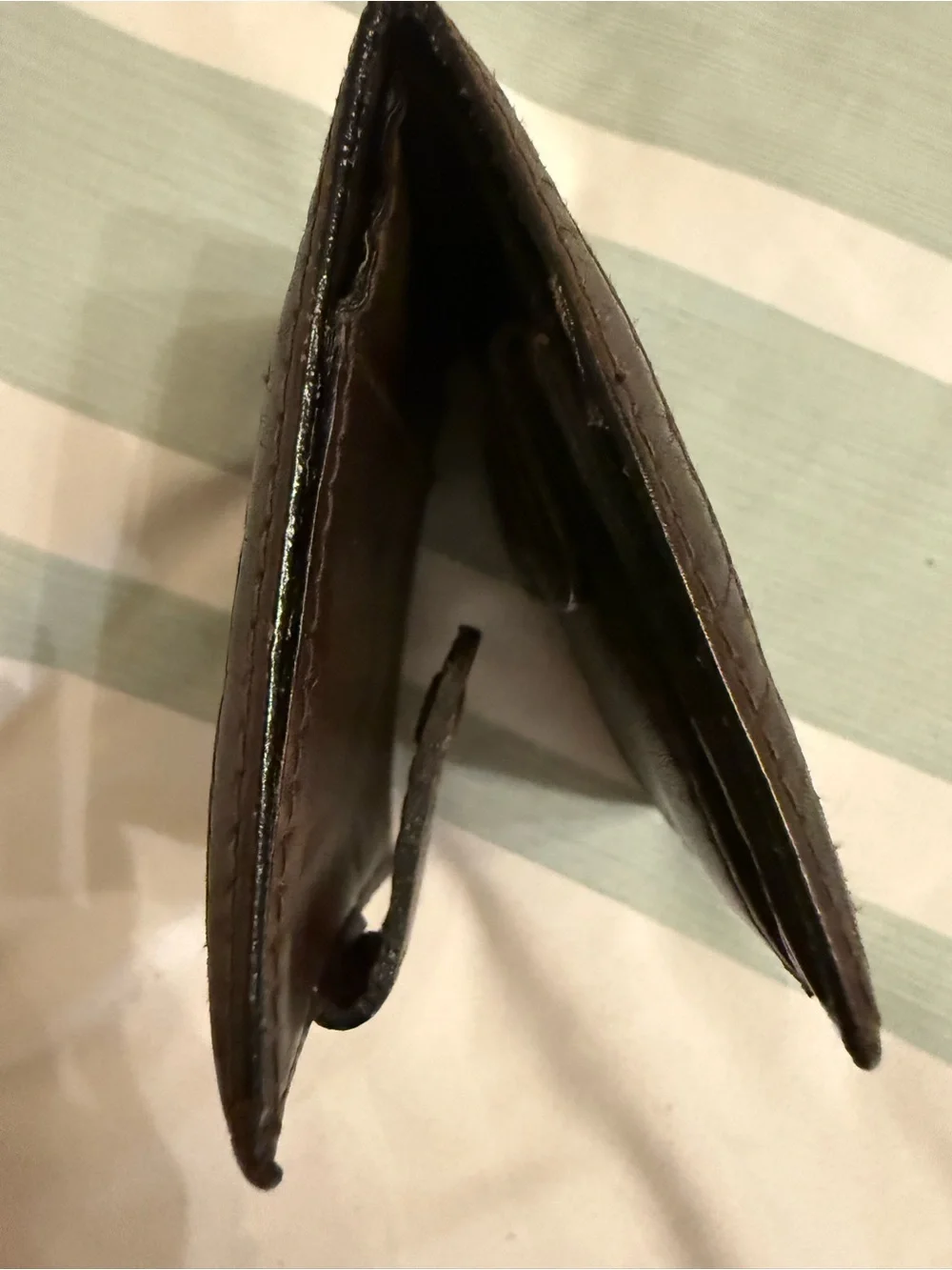Fendi authentic zucca